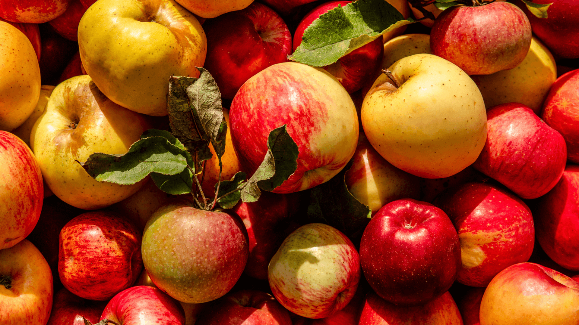 Roasted Apple Vinaigrette